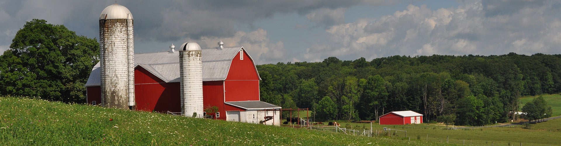 Farm Banner