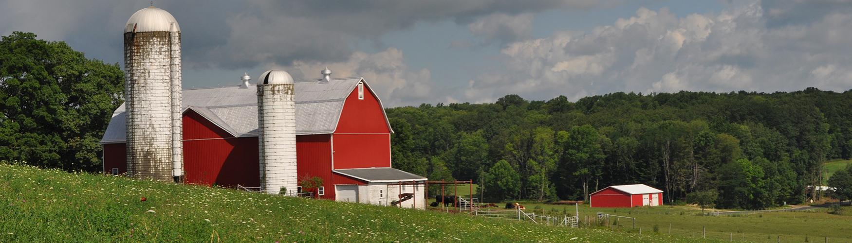 Farm Banner